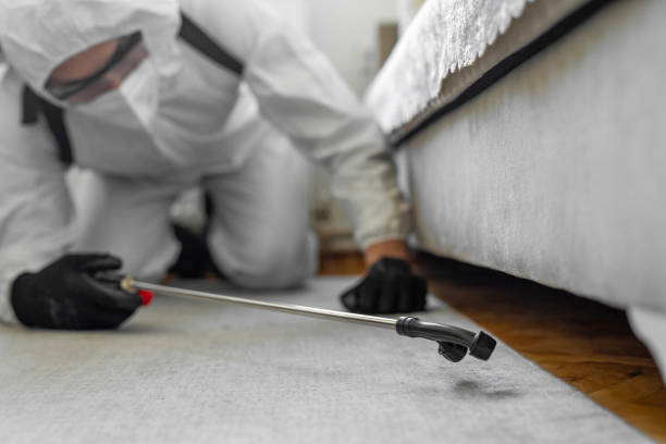Professional Termite Control technician working in Daingerfield, TX